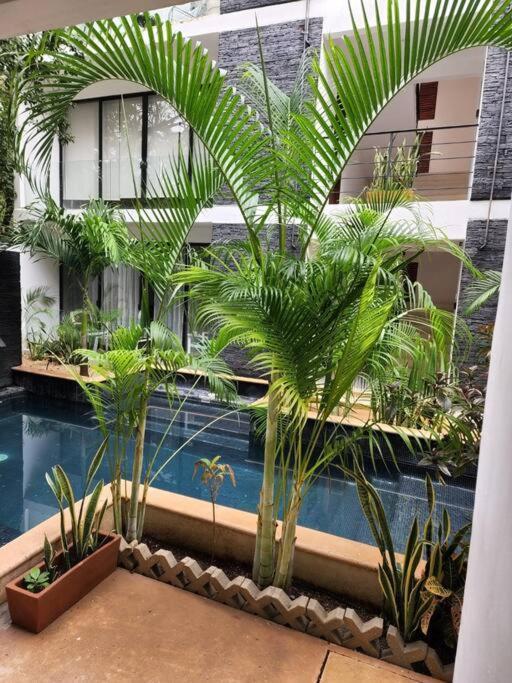 Amazing Jungle Retreat Lahkah Apartment *