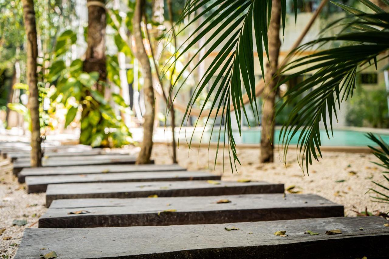 Apartment Casai - Bohemian Eco-loft In La Veleta, - 2 Pools, Gym Tulum