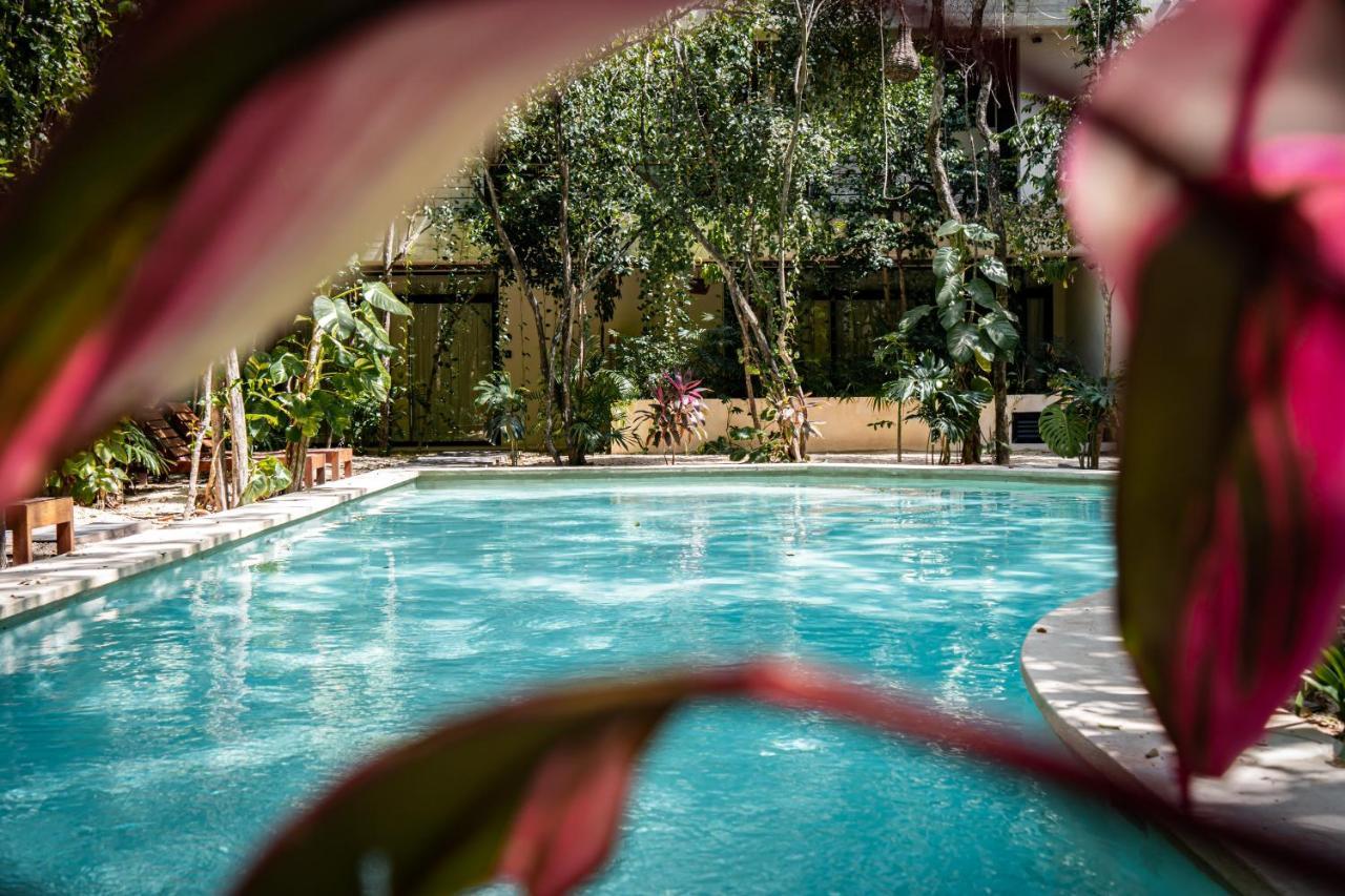 Casai - Bohemian Eco-loft In La Veleta, - 2 Pools, Gym Apartment Tulum