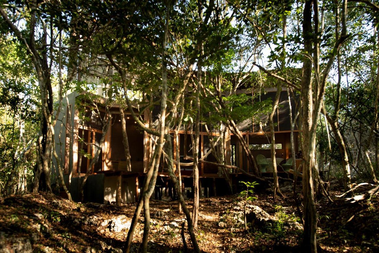 Villa Ojo De Arbol, Boutique In The Real Jungle *