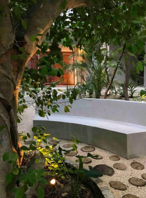 N35 Jungle Nest Apartamento Tulum