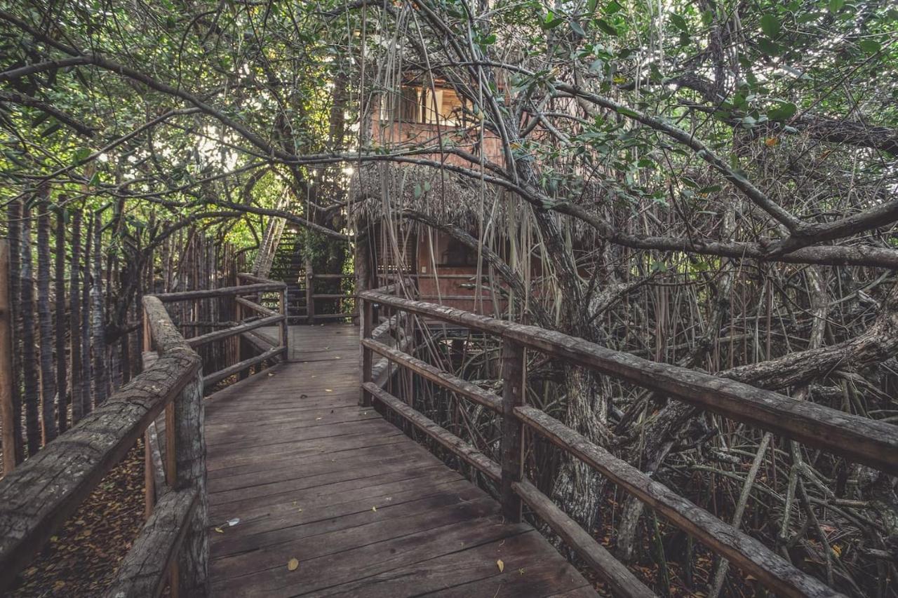 Hidden Treehouse Eco-hotel