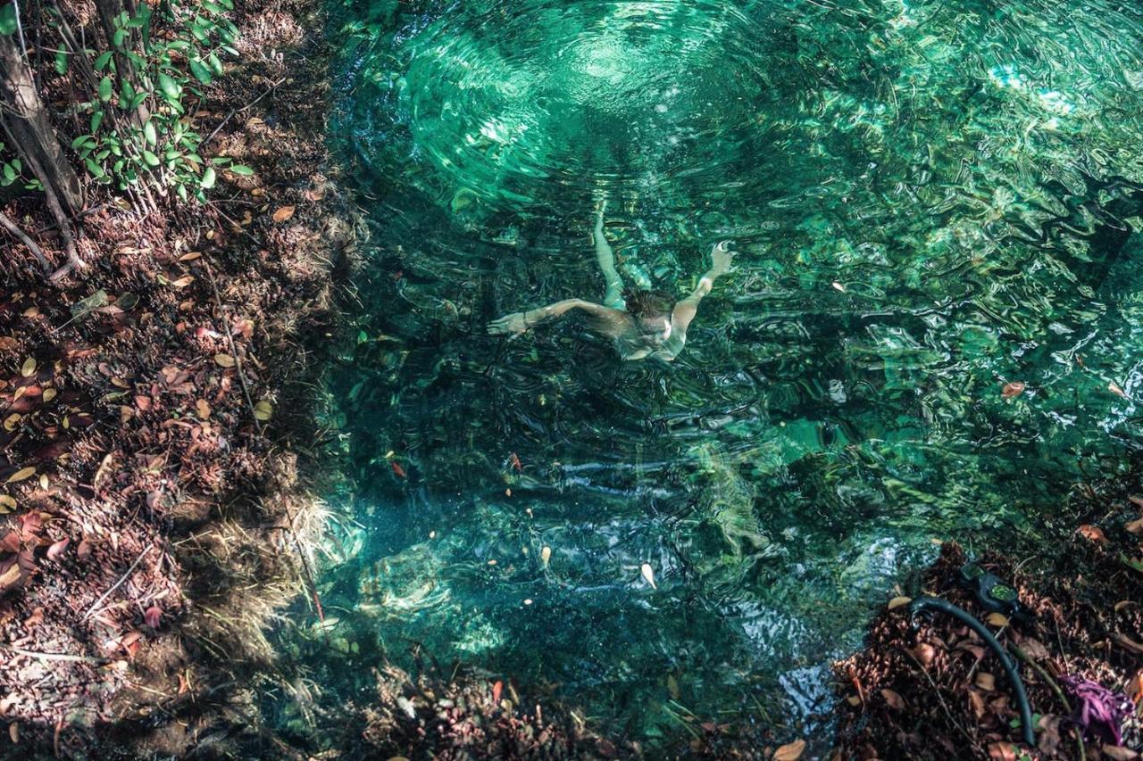 Hidden Treehouse Eco-hotel 4* Tulum