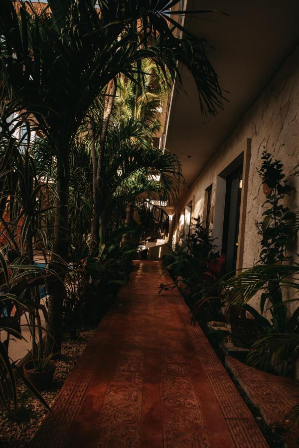 Hotel Lechuga De Mar With Pool And Club Access Tulum