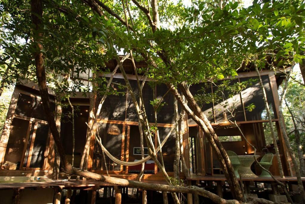 Ojo De Arbol, Boutique In The Real Jungle Villa Tulum
