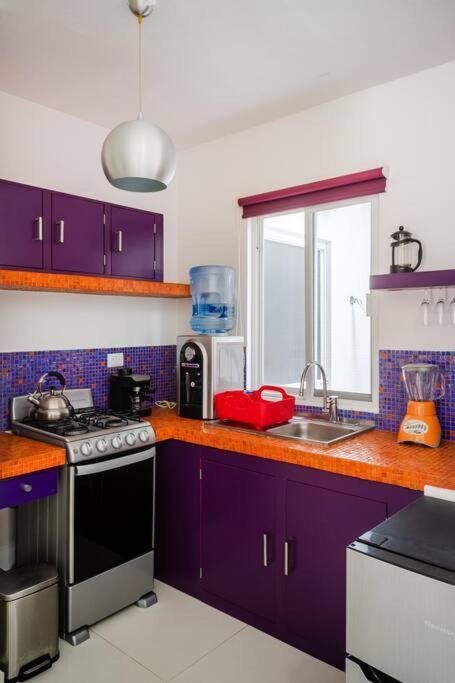 Roxie's Charming Art House, Great Location Apartment *
