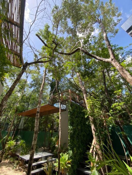 Invisible House - Jungle Studio