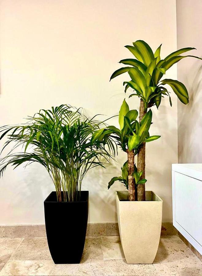 Apartment Elegant 1br Aldea Zama