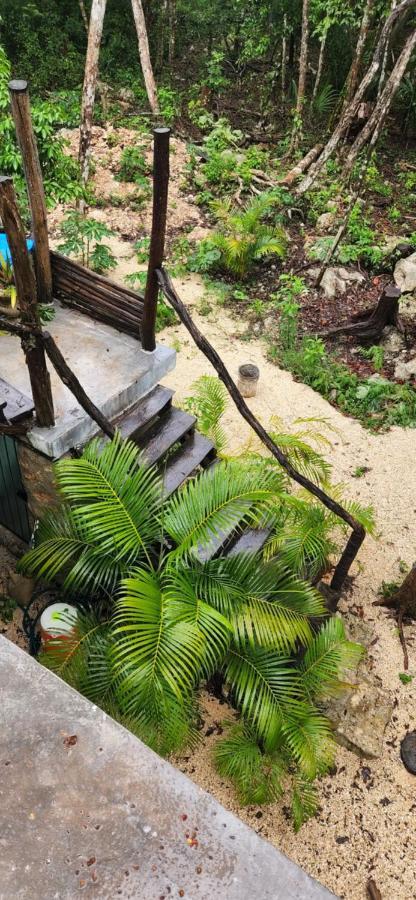 Selva Roca * Tulum