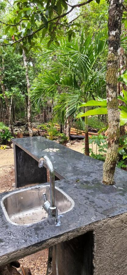 Selva Roca Country house *