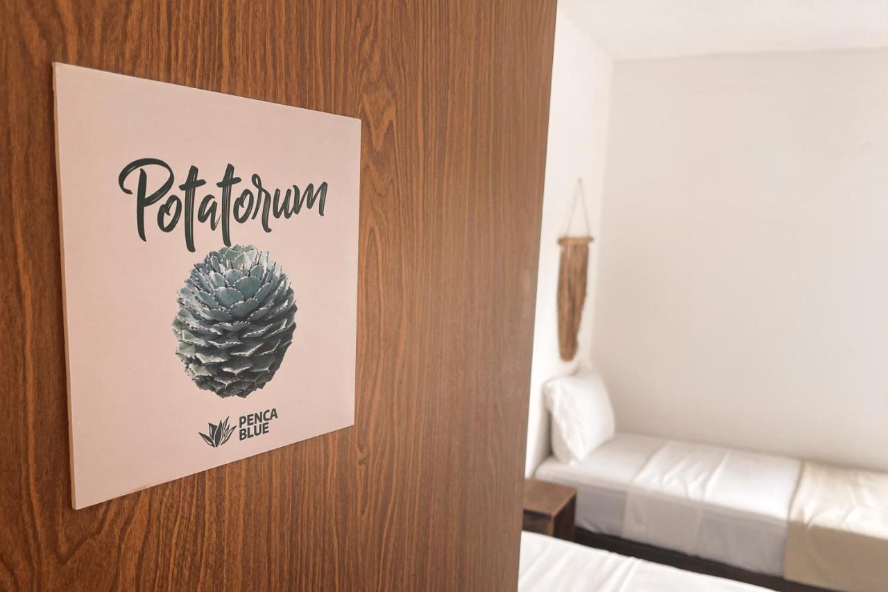 Penca Blue Guest house Tulum