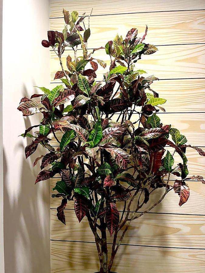 Apartment Elegant 1br Aldea Zama *