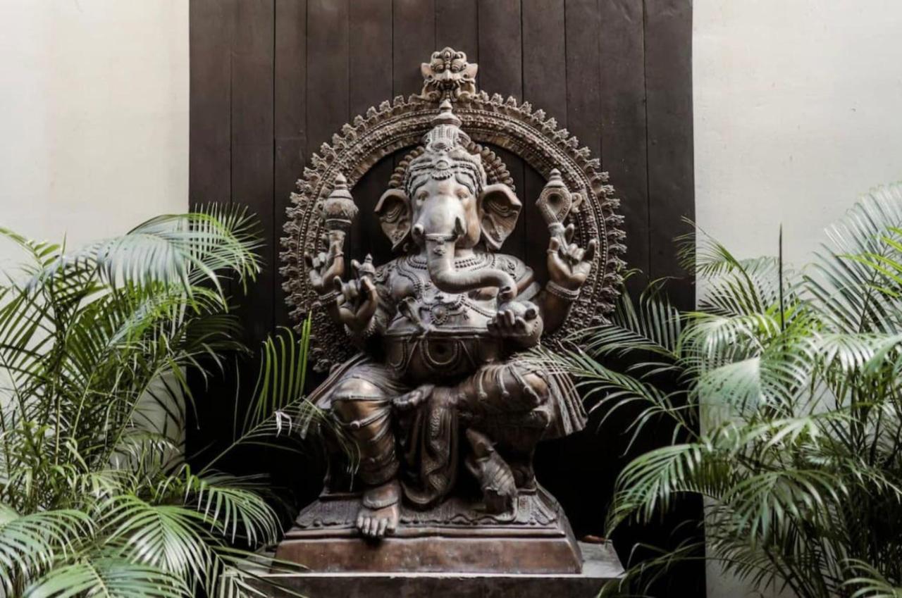 Black House Aldea Zama I Spacious 2bd With Private Jacuzzi * Tulum