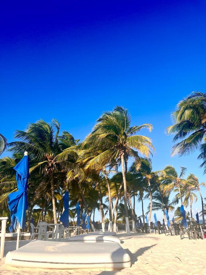 Elegant 1br Aldea Zama Tulum