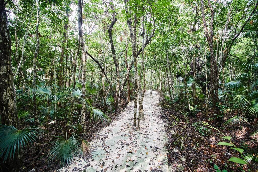 Tribu 205 Magical 1br Minutes From The Sea 50mb Wifi Apartment