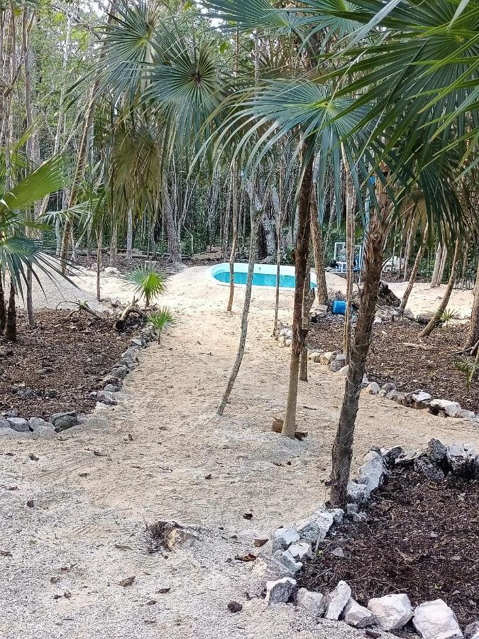 Zil-kaab Hidden Glamping Village Luxury tent Tulum