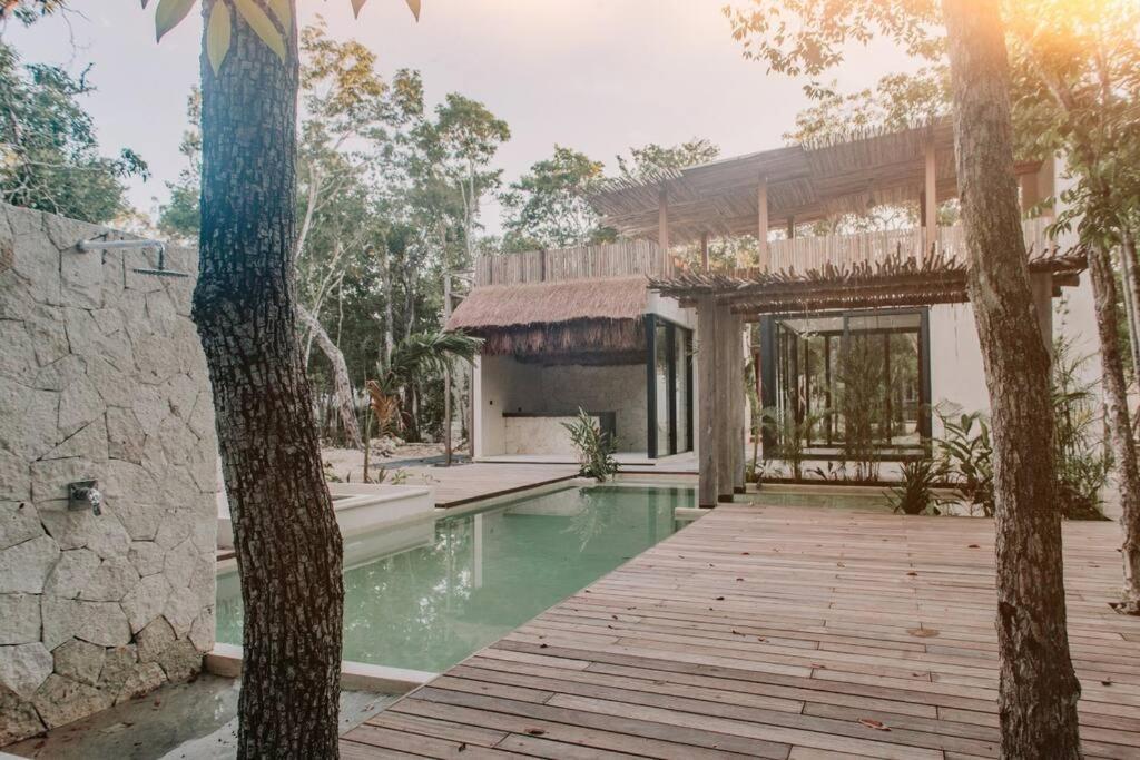 Xuncari In The Heart Of The Jungle