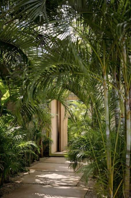 Casa Areca, Awarded Architectural Located In A Secured Gated Community, With Concierge Services *