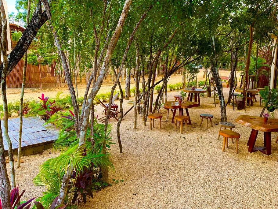 Selva Norte Apartment *