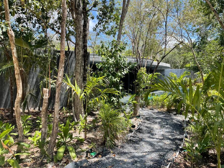 Apartment Casa Mariposa - Private Jungle Luxury In Luum Zama *