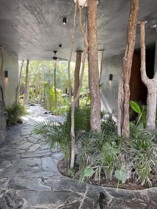 Casa Mariposa - Private Jungle Luxury In Luum Zama Apartment *