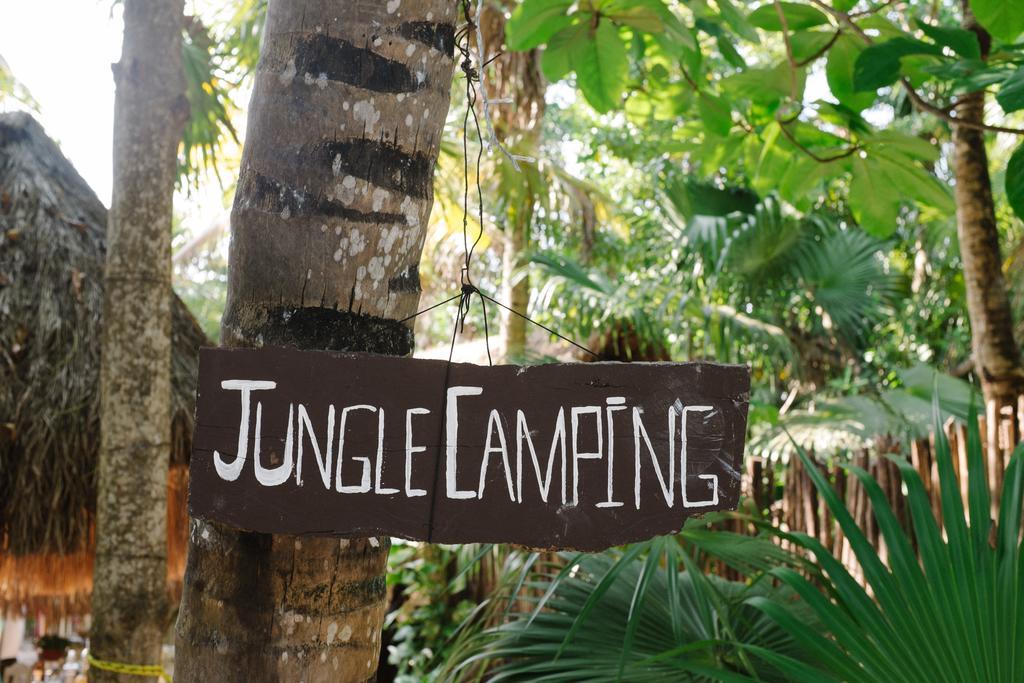 Campsite Turquesa Jungle Camping Tulum