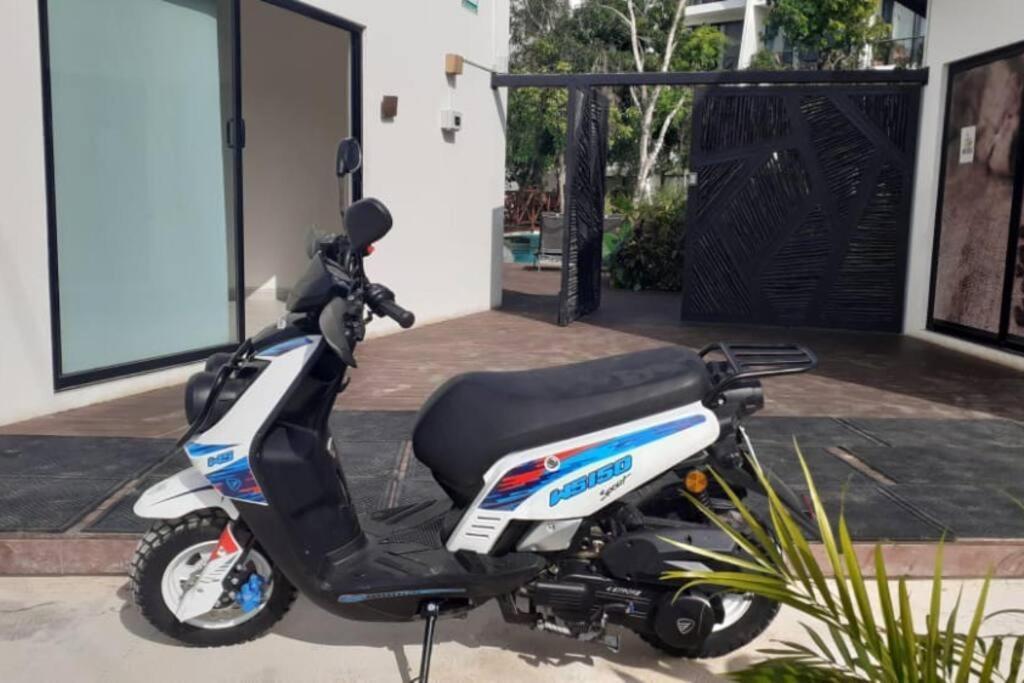 Dk31 Wifi 600mb, Cheap Scooters By Moikkarentals * Tulum