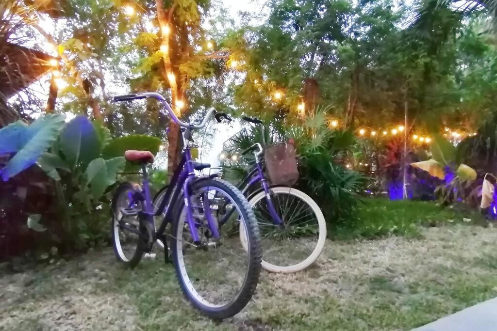 Apartment Dk31 Wifi 600mb, Cheap Scooters By Moikkarentals *