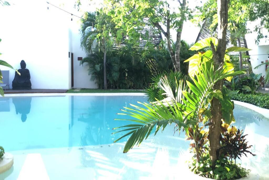 Dk31 Wifi 600mb, Cheap Scooters By Moikkarentals Apartment