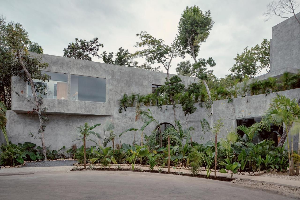 Casa Shalva Awards Design With Art Gallery Holiday home Tulum