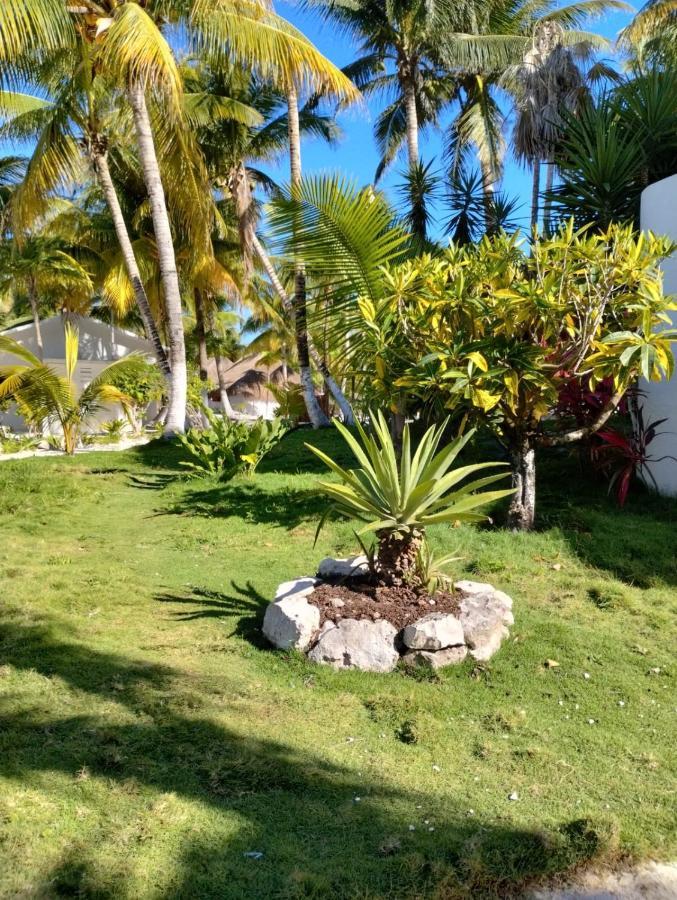 Alito Hotel Tulum