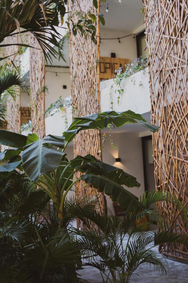 Hotel Jade 5*