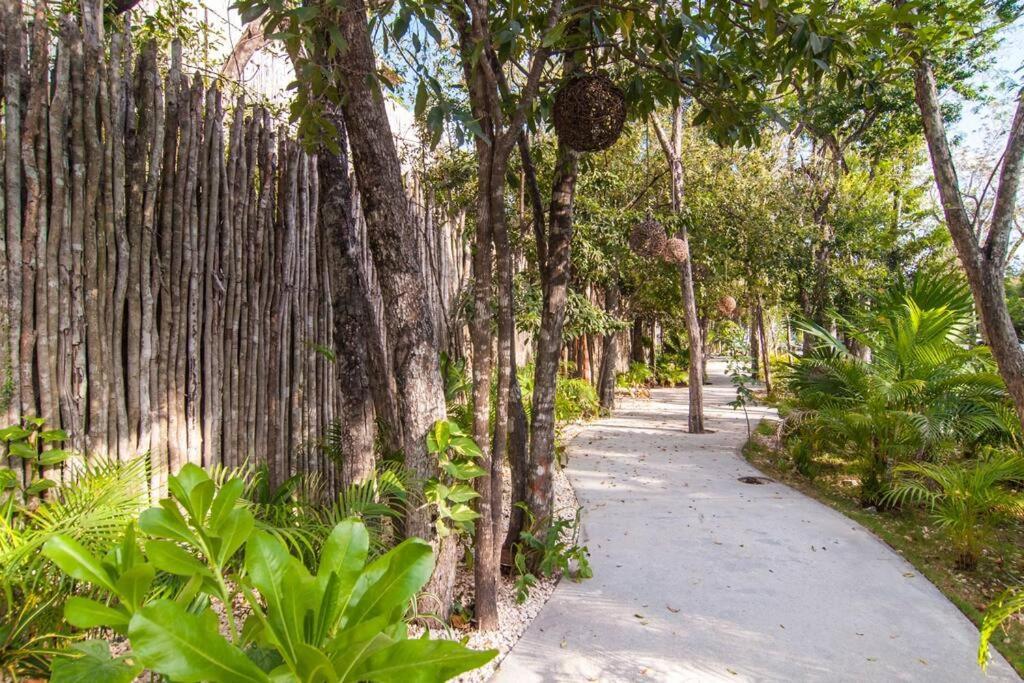 Apartment Spectacular Gaia/ph/private Pool Tulum