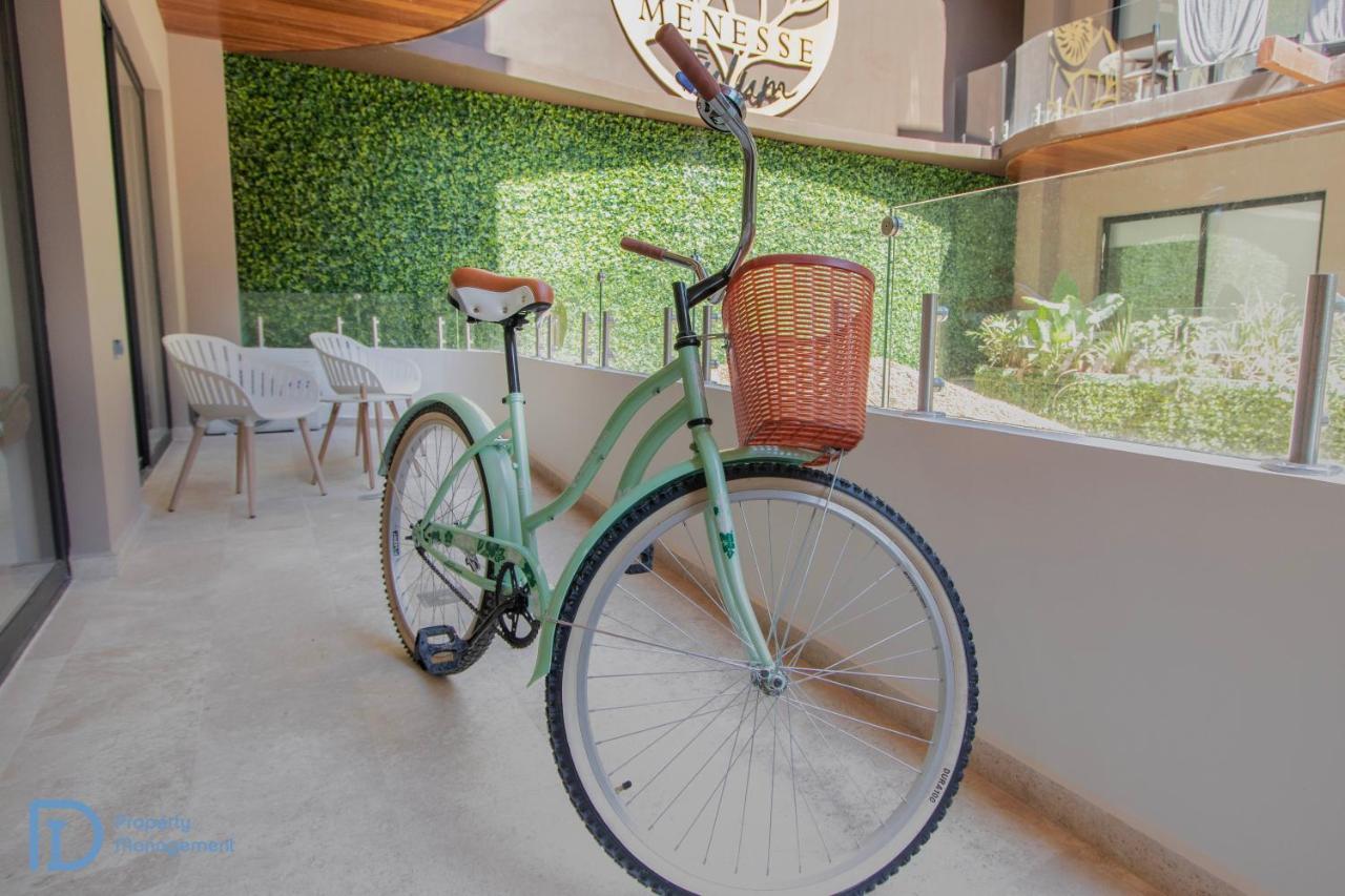 Apartment Menesse