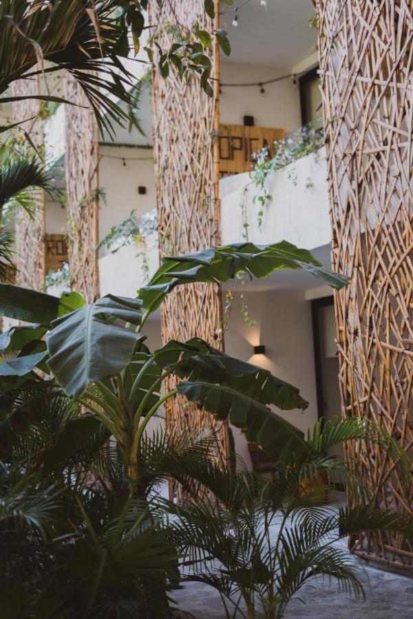 Apartamento Jade