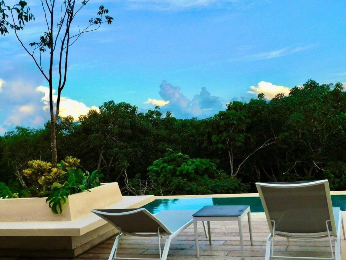 Lx Con Vista A La Jungla Apartamento *