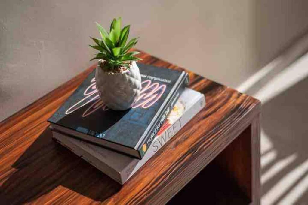 Lujoso Departamento Con Jacuzzi Privado Apartment