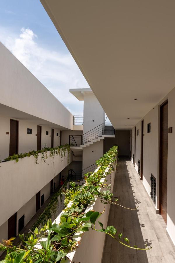Apartment Chaac Luxury *