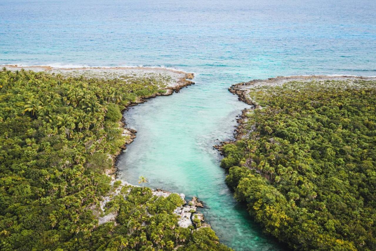 Amazing Floor Bbq Pool Sea View Jungle View Tulum