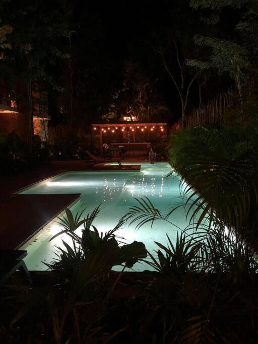 Luxury 2 Bdr 2 Bth 2 Bikes Jacuzzi Fiboptic Wifi. Apartment *