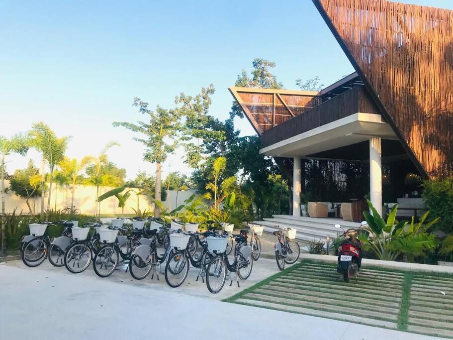 New Deluxe Ophelia Community Living