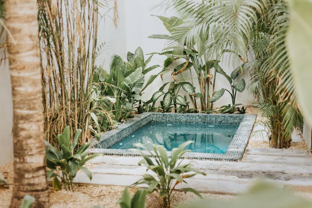Tuuk: Luxury 5-bedroom With Private Pool And Concierge Pousada Tulum