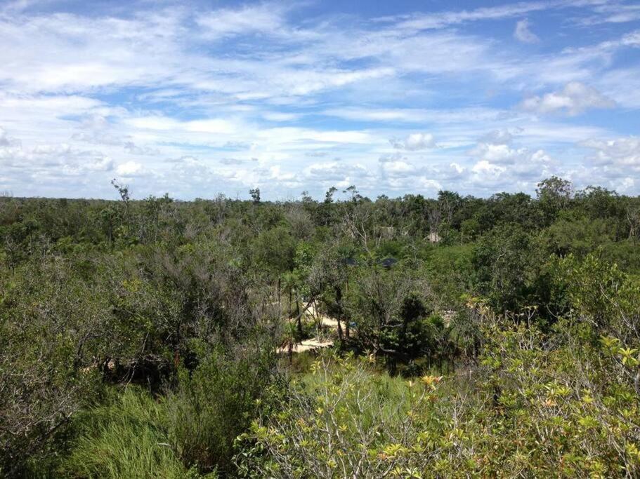 Exotic Eco House In Jungle With Private Cenote