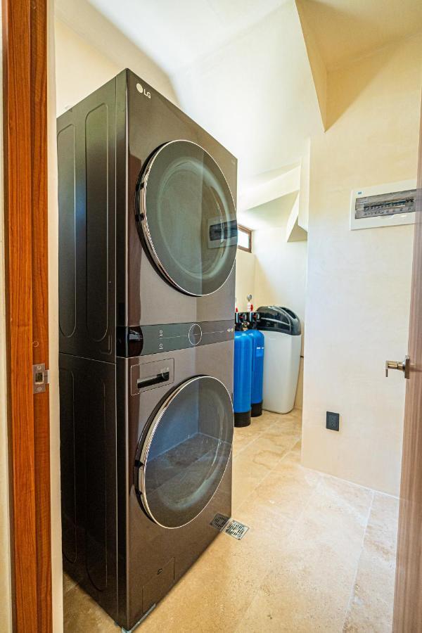 Jungle - Cenote Villa Tulum