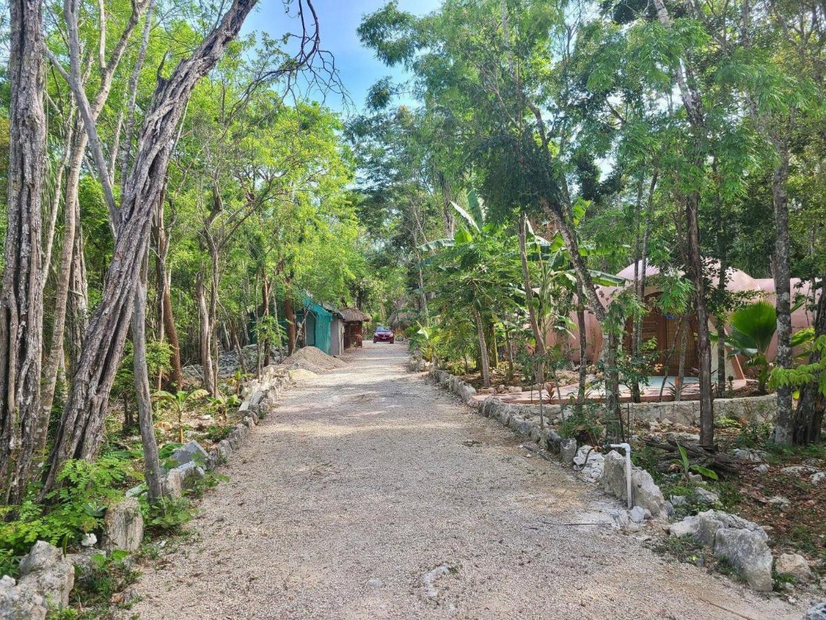 Dome Ha Unique Eco-luxe Couple Dome Cenote Bikes * Tulum