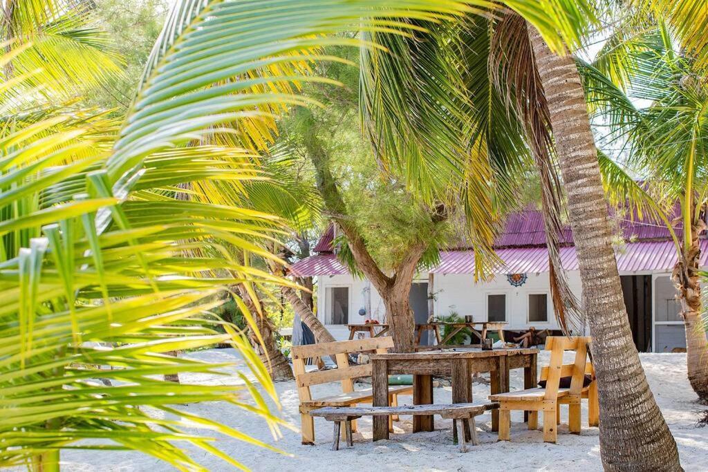 Rancho Pepo - Sian Ka'an Biosphere Beach House Holiday home *