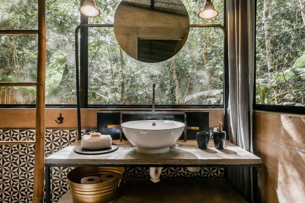 Zen Canto Tuuch :: May The Jungle Be With You