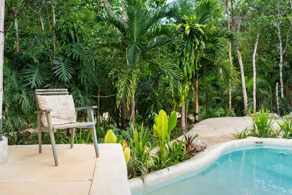 Zen Canto Tuuch :: May The Jungle Be With You Tulum