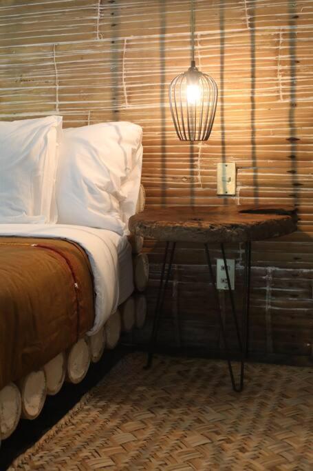 Zen Canto Tuuch :: May The Jungle Be With You *