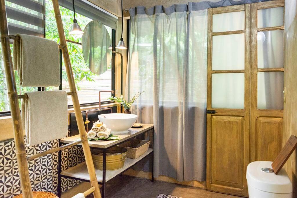 Zen Canto Tuuch :: May The Jungle Be With You